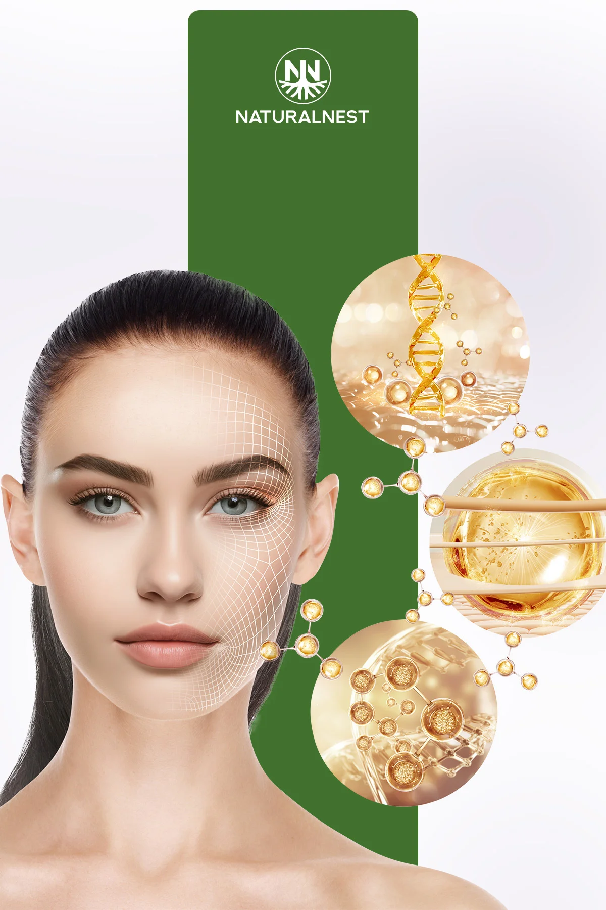 Collagen 60 Tablet- Kolajen peptitleri, Hyaluronik asit, Koenzim Q10, Biyotin