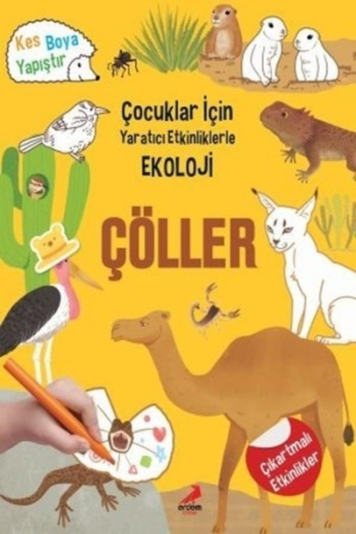 Çöller - Çocuklar İçin Yaratıcı Etkinliklerle Ekoloji - Kes-Boya-