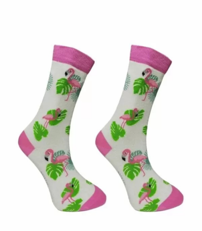 Colorcol Kadın Cotton Soket Çorap Colorcol Kadın Cotton Soket Çorap