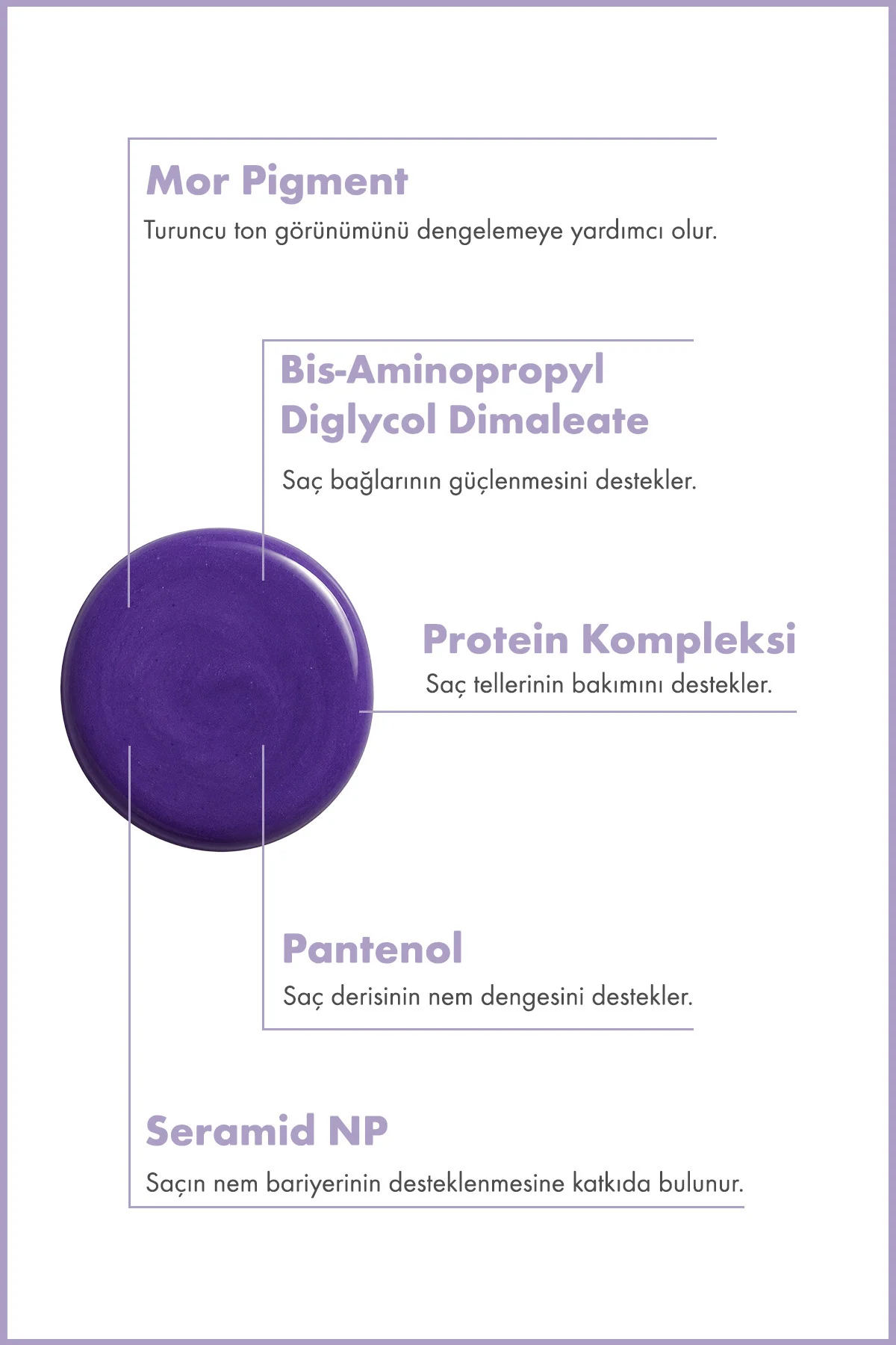 ColorShield™ Mor Şampuan – Turunculaşma Karşıtı ve Sarı Saç Ton D