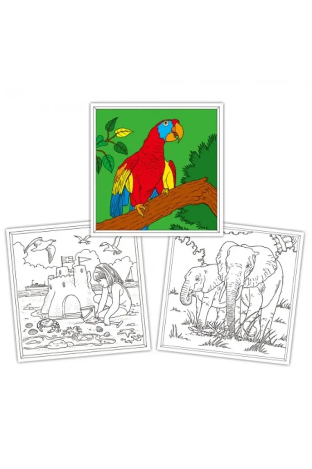 Colouring Book Boyama Kitabı (3 Yaş+)