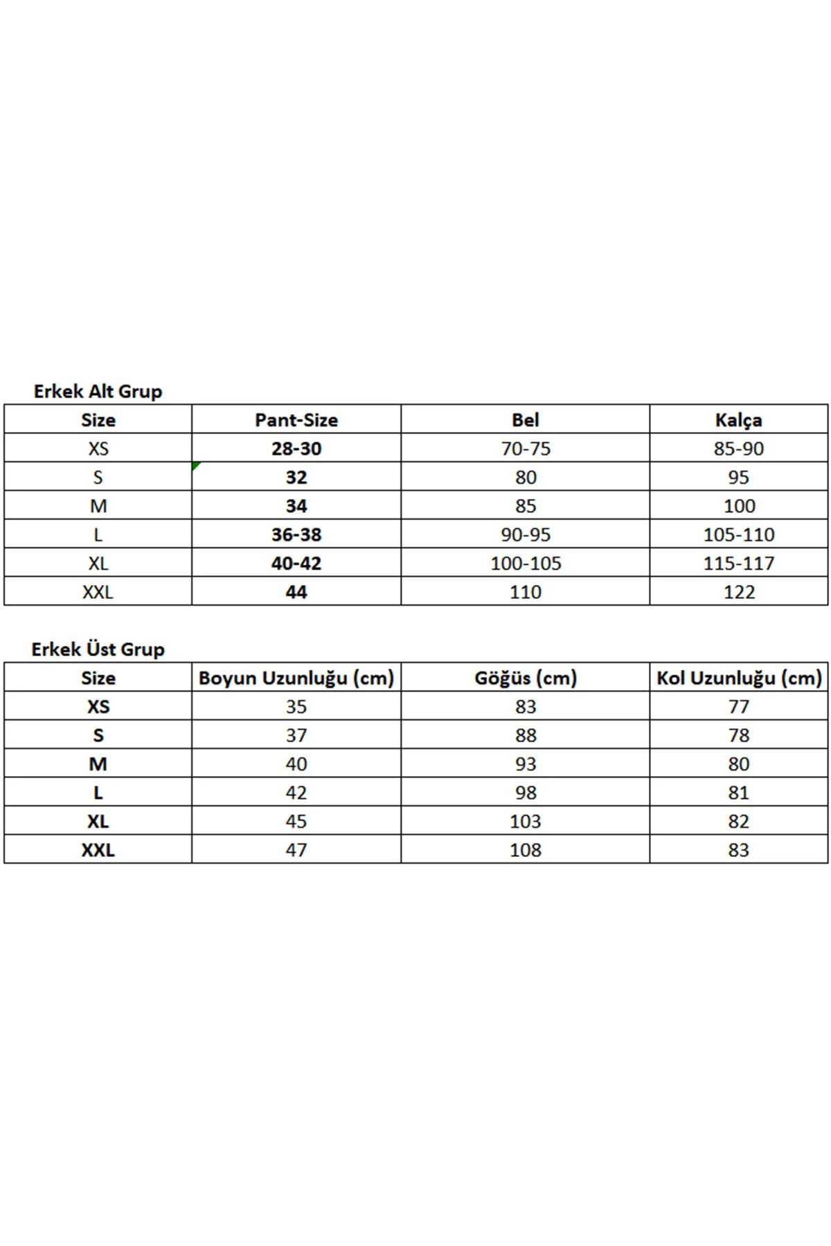 Columbia Erkek Mont - Rugged Path Omni-Heat™ Parka -WM1249