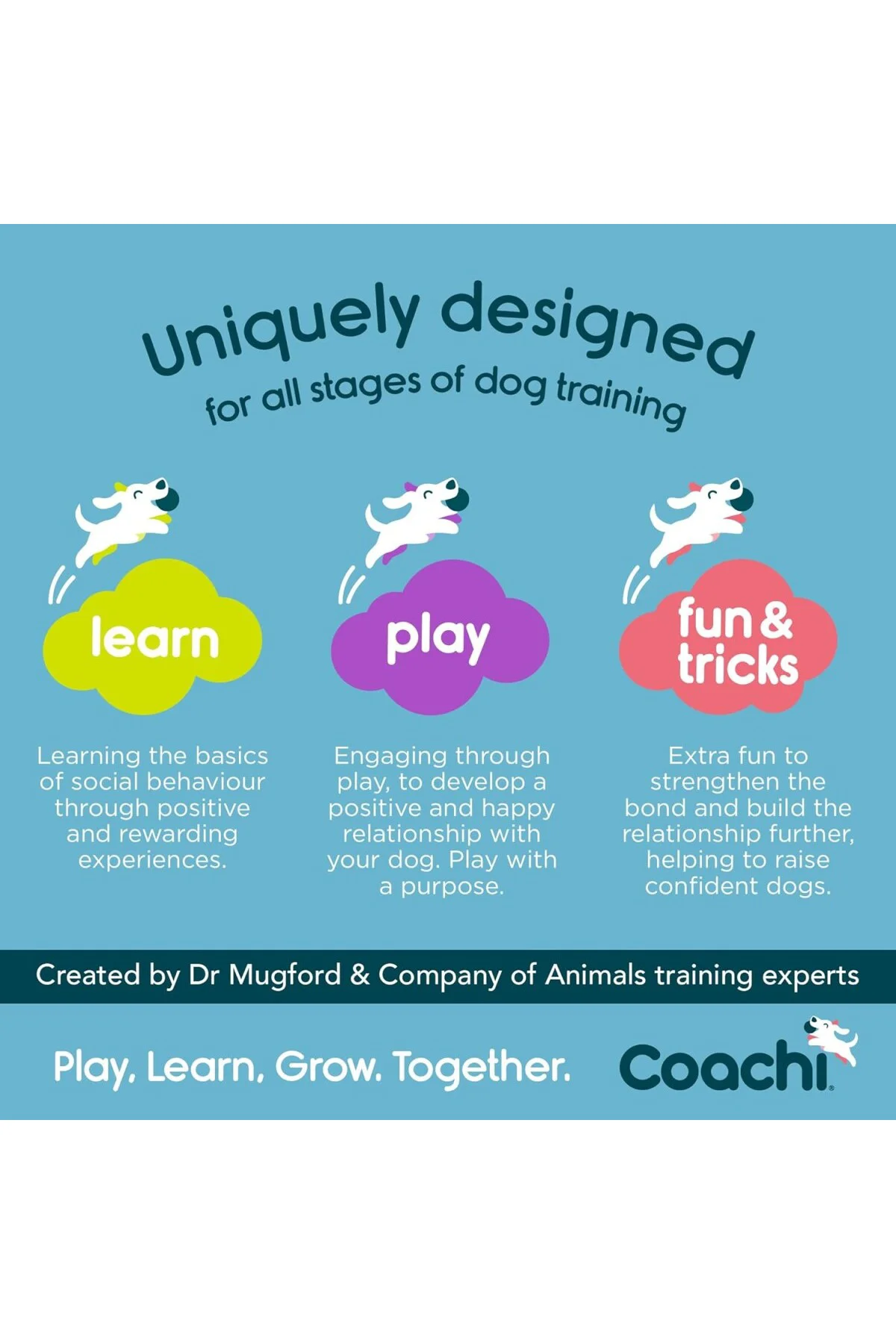 Company of Animals, Fetch & Reward, Etkileşimli Eğitim Oyuncağı, 