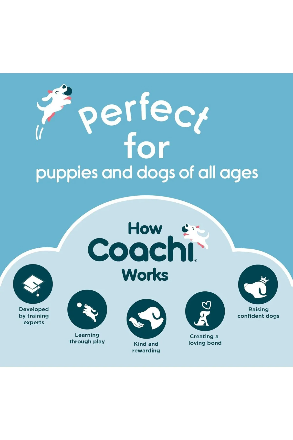 Company of Animals, Fetch & Reward, Etkileşimli Eğitim Oyuncağı, 