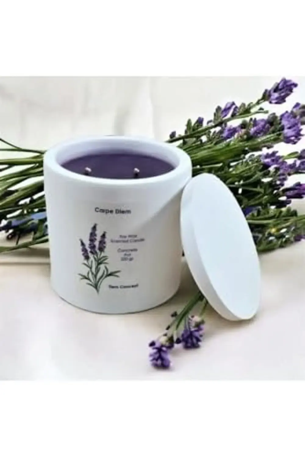Concept Dekoratif Lavanta Kokulu Beyaz Renkli Saksılı Ve Kapaklı Concept Dekoratif Lavanta Kokulu Beyaz Renkli Saksılı Ve Kapaklı