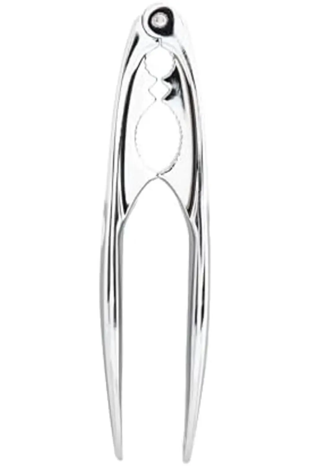 Concept Fındık Kıracağı 1178227