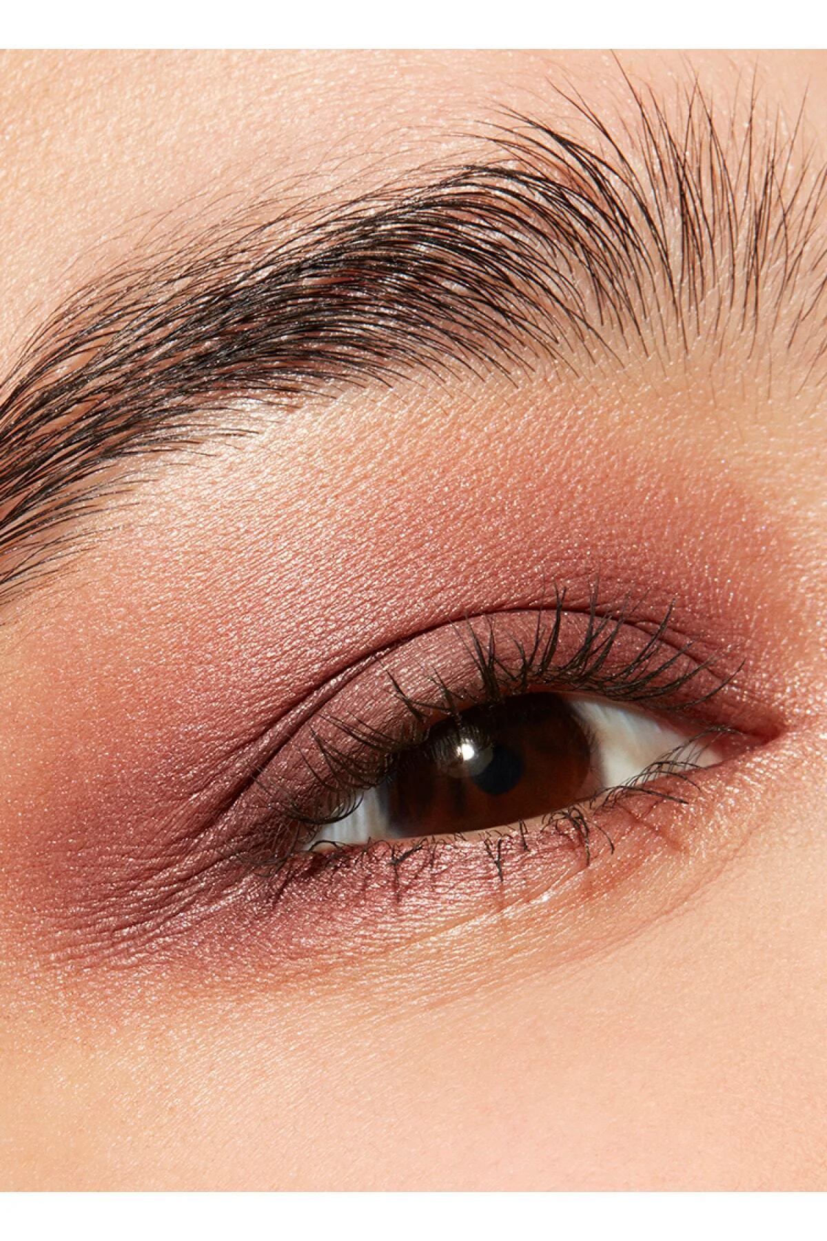 Connect In Colour 6'lı Far Paleti - Embedded In Burgundy 6.25 G