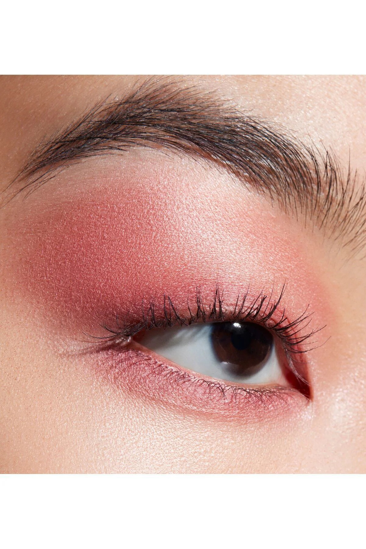 Connect In Colour Eye Shadow Palette-rose Lens-6.25 G-77360264866