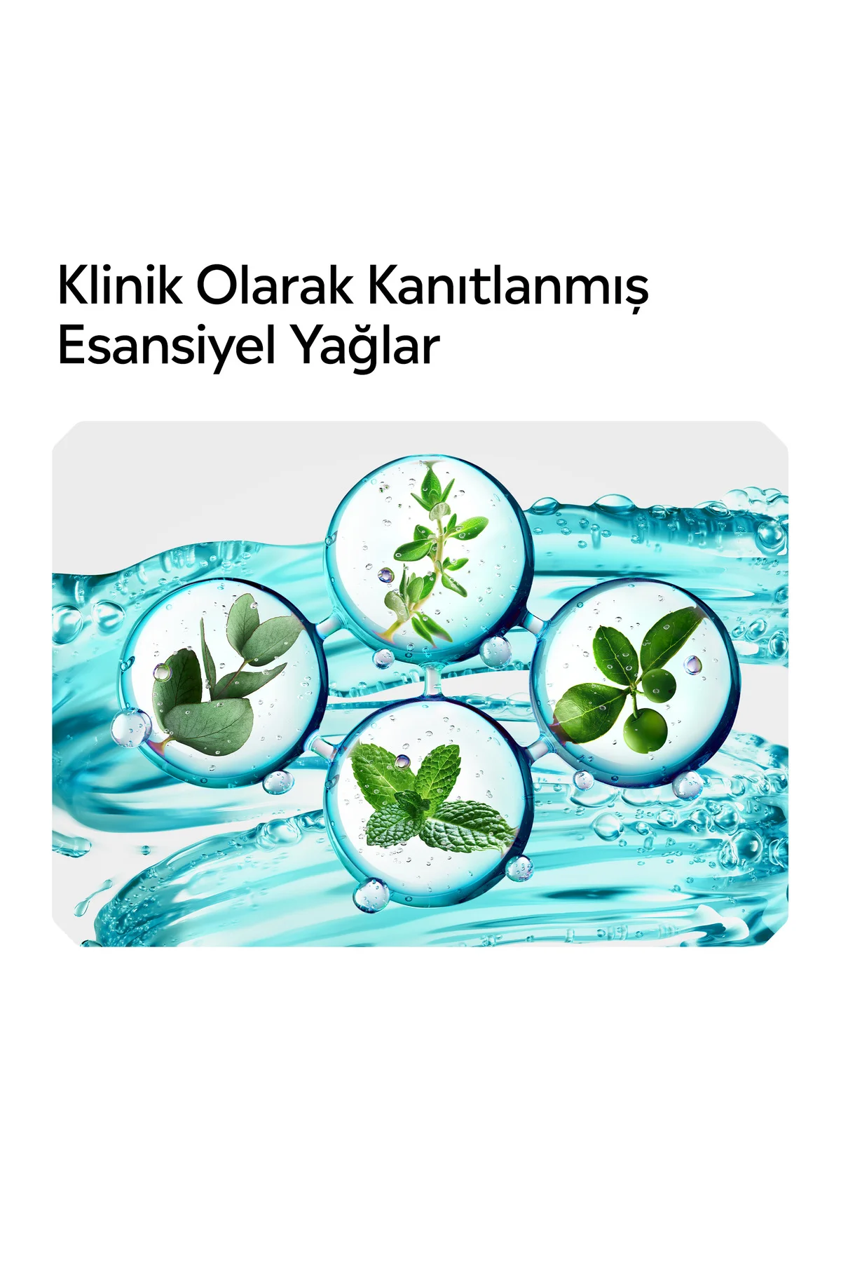 Coolmint 500 ml