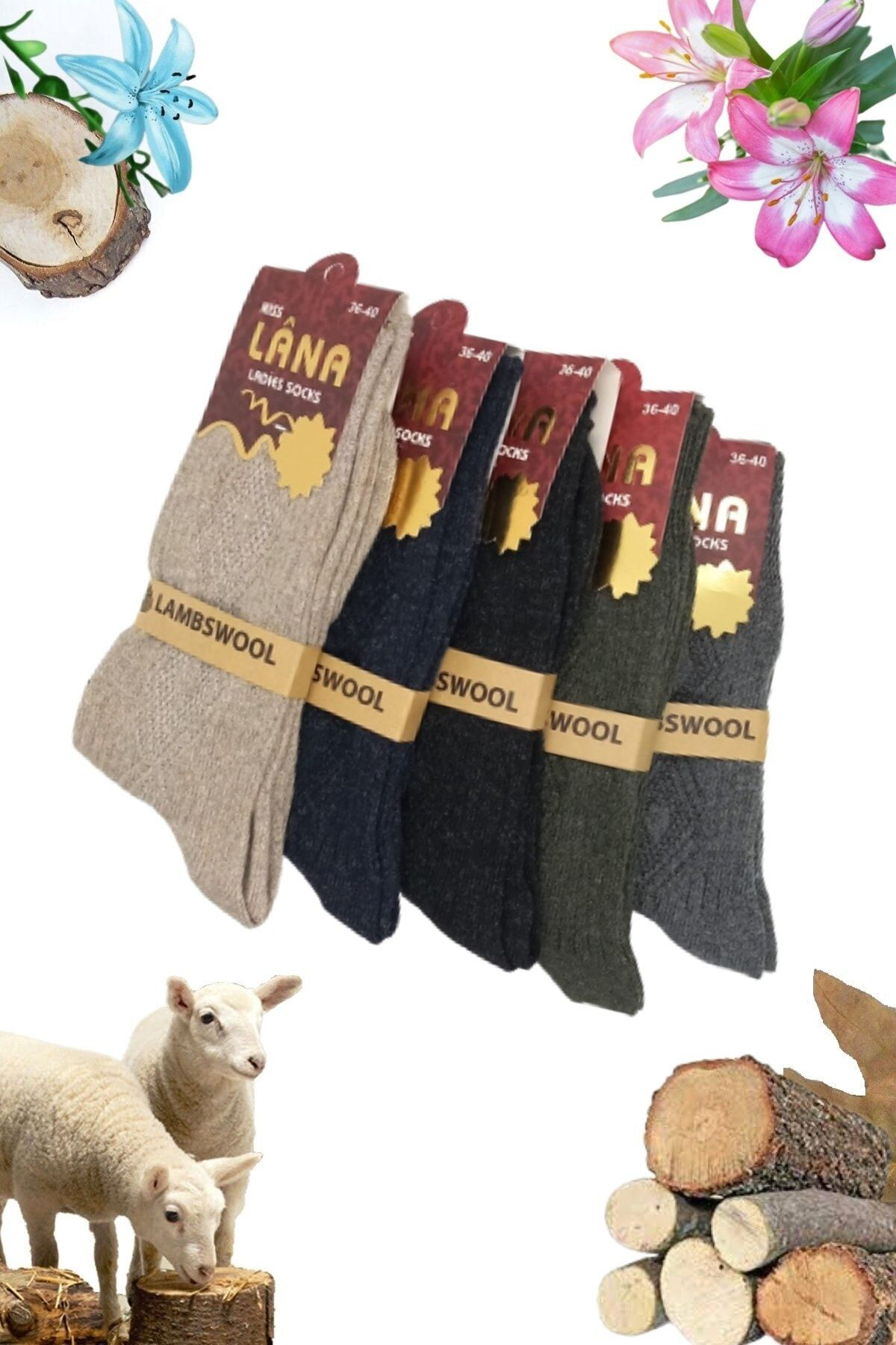 Çorap (12 Çift) Kışlık Yün Çorap Lambswool (özel Kuzu Yünlü) Kadı