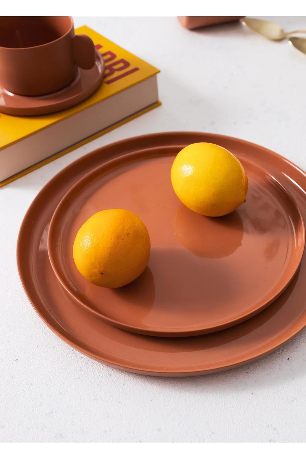 Cotta Limoges Pasta Tabağı Terracota 21 cm