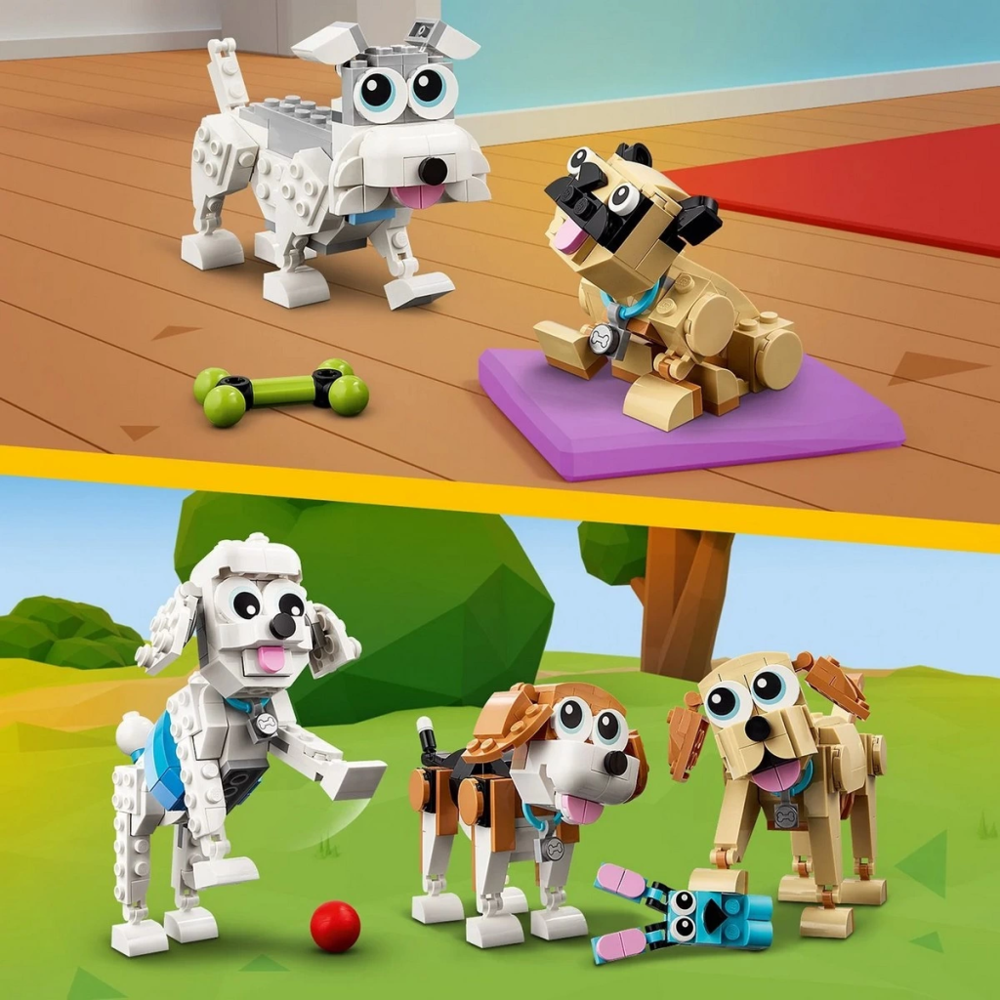 CreatorSevimliKöpekler31137 CreatorSevimliKöpekler31137