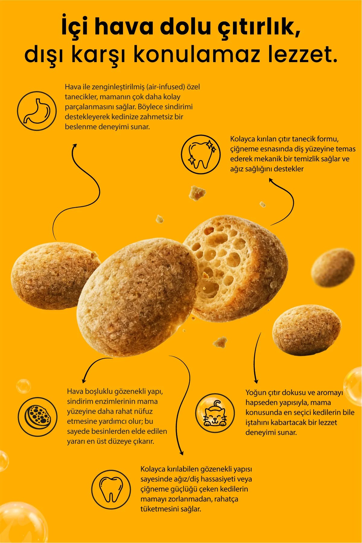 Crunchy Bubbles Kuzu Etli Yetişkin Kedi Maması 10 kg Fiyatı, Yorumları ve Özellikleri