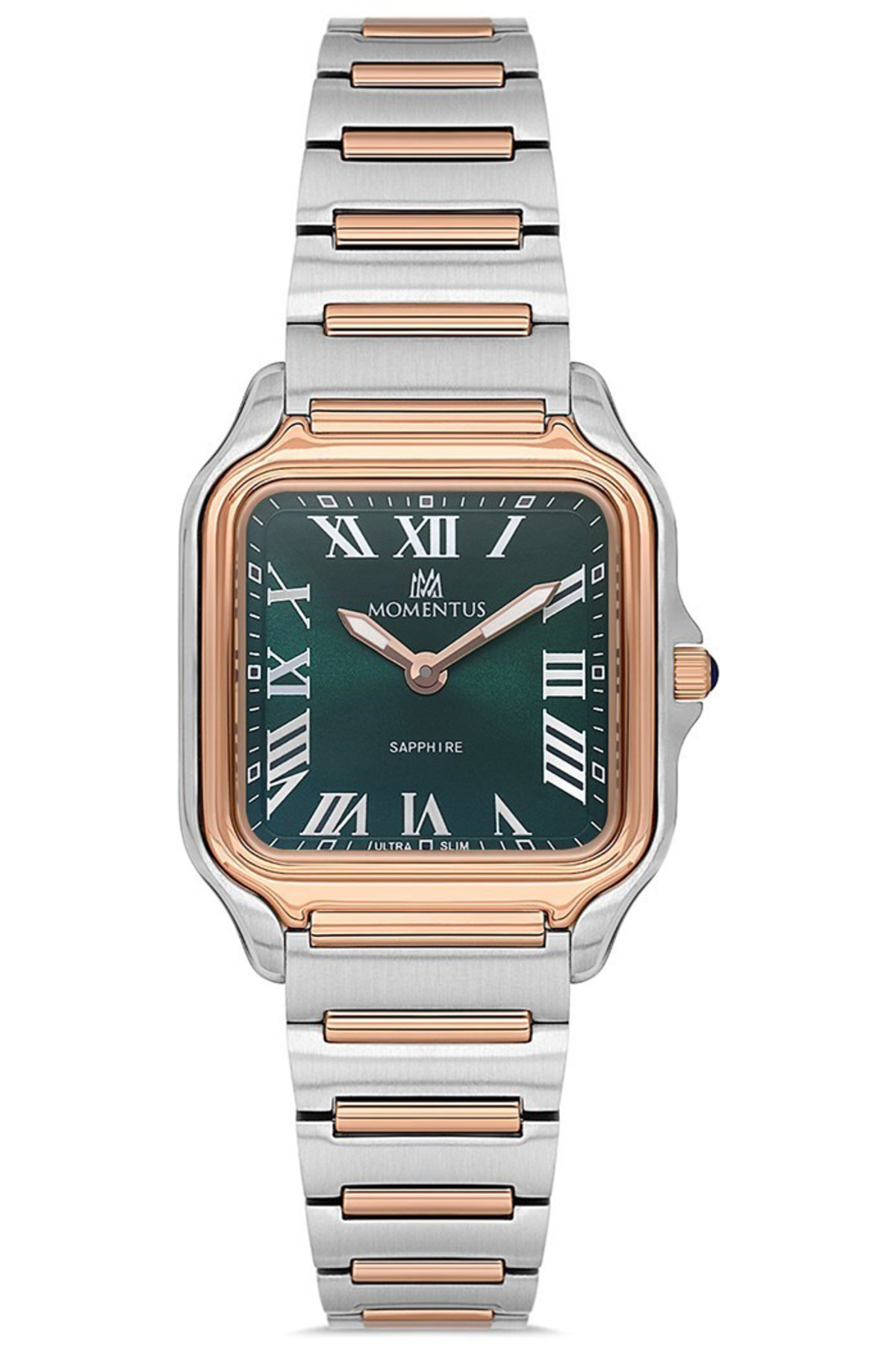 Cs348t-15sr Kadın Kol Saati