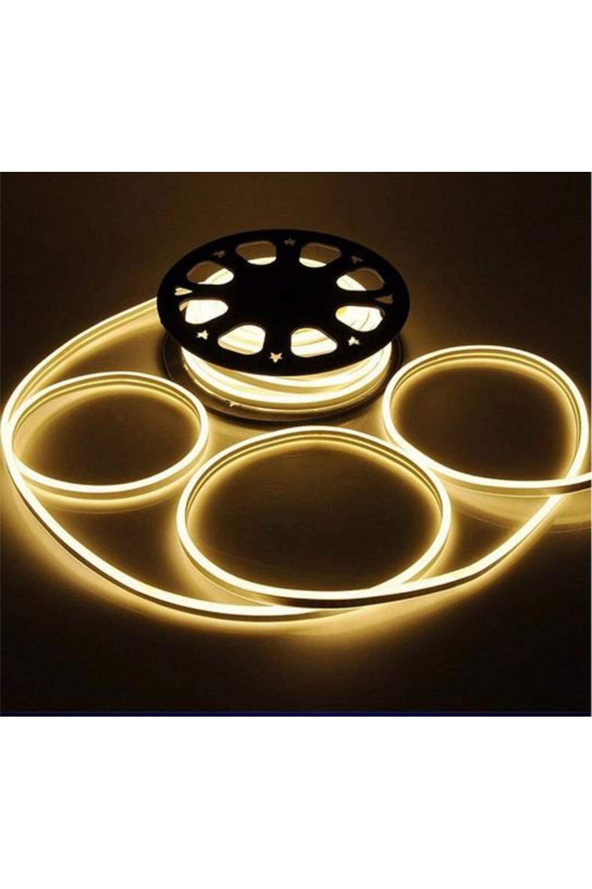 CT-4455 12V DC Neon Led Hortum Günışığı 50 Metre Makara CT-4555