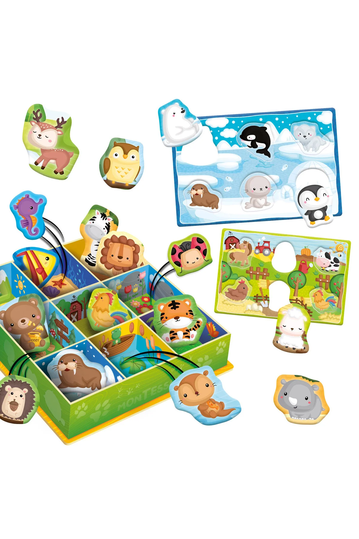 Cutiuta Montessori - Orta seviyedeki hayvanlar