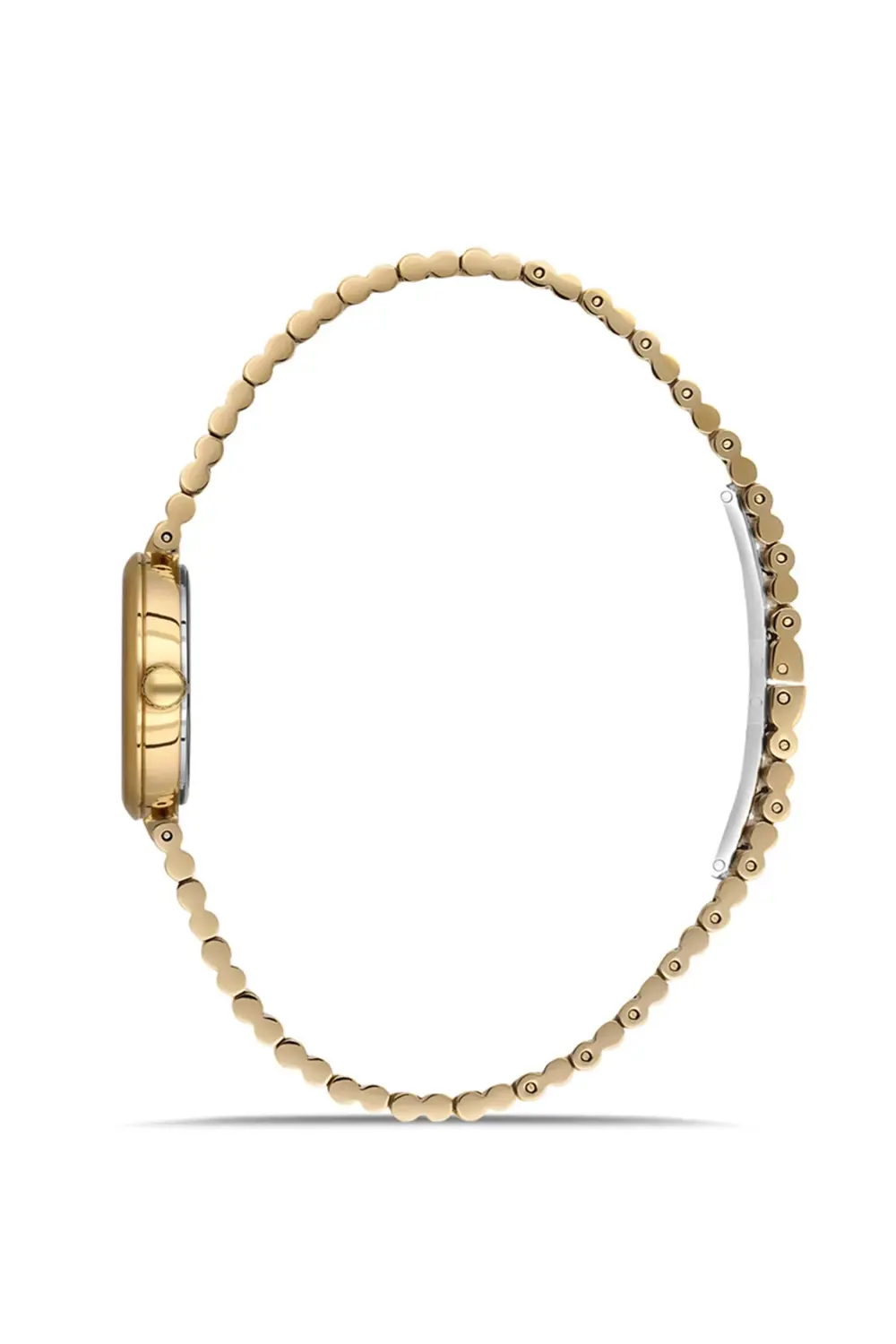 CW313G-15SG Kadın Kol Saati