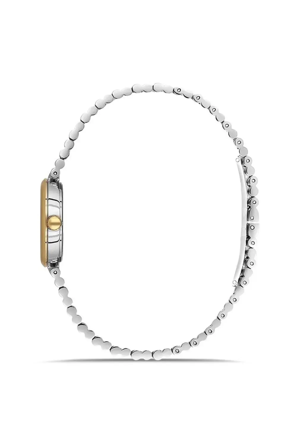 CW313T-09SG Kol Saati