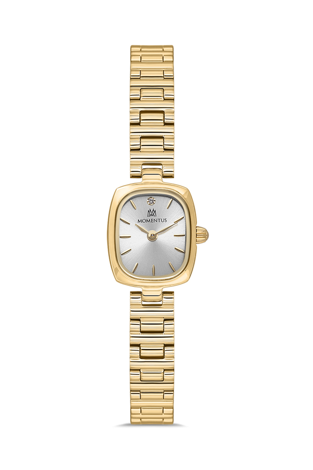 Momentus Cw317g-02Sg Kol Saati