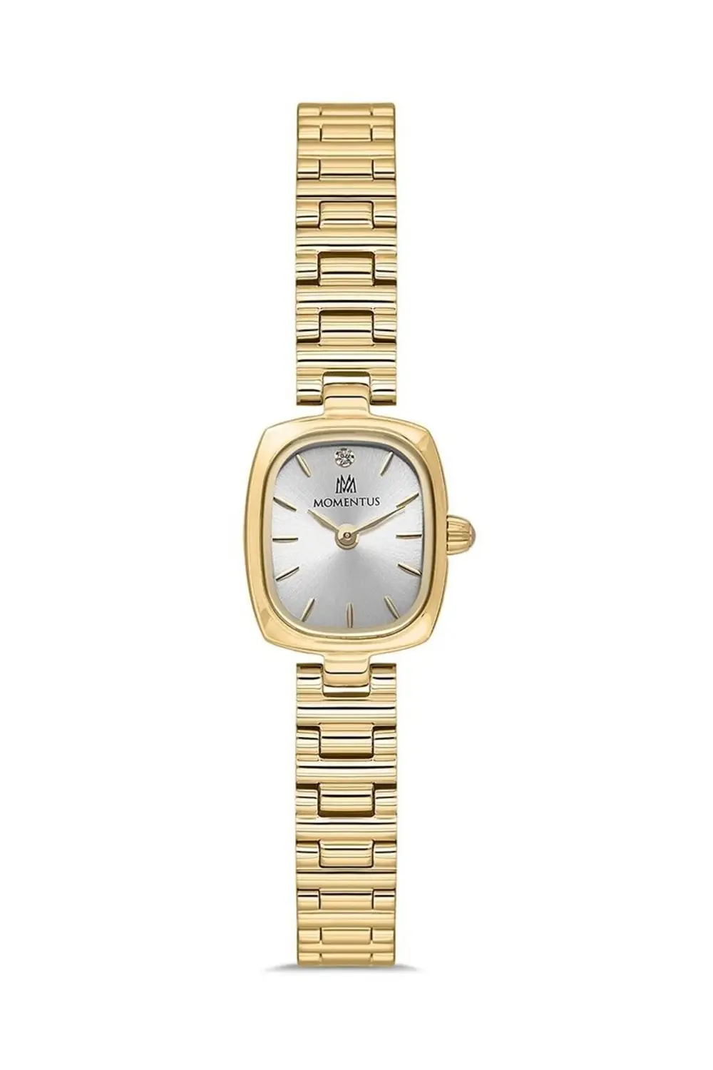 CW317G-02SG Kol Saati