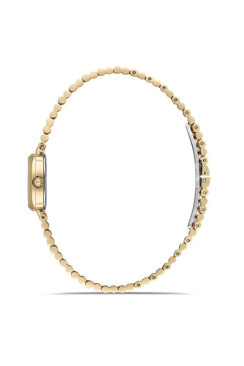 CW317G-02SG Kol Saati