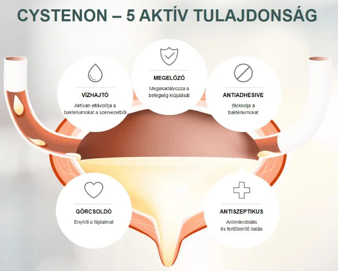 Cystenon 15 LI Kapsül – Siste ve İdrar Yolları İçin Doğal Destek Fiyatı, Yorumları ve Özellikleri