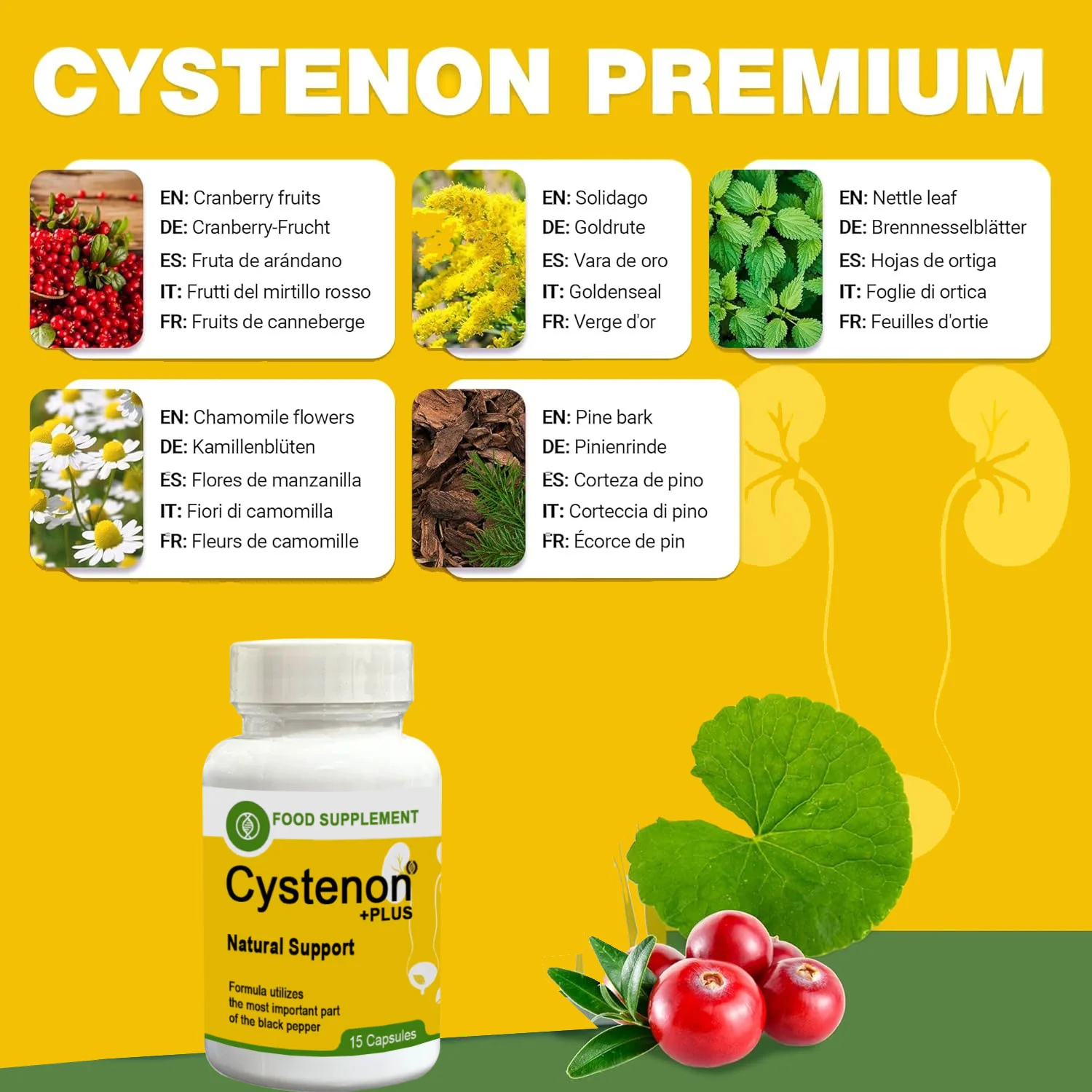 Cystenon 15LI Kapsül – Sistan, İdrar Yanması ve Kokulara Karşı Doğal Destek Fiyatı, Yorumları ve Özellikleri