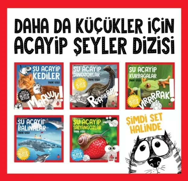 Dağlardan Öğrendiklerim - Doğadan Öğreniyorum