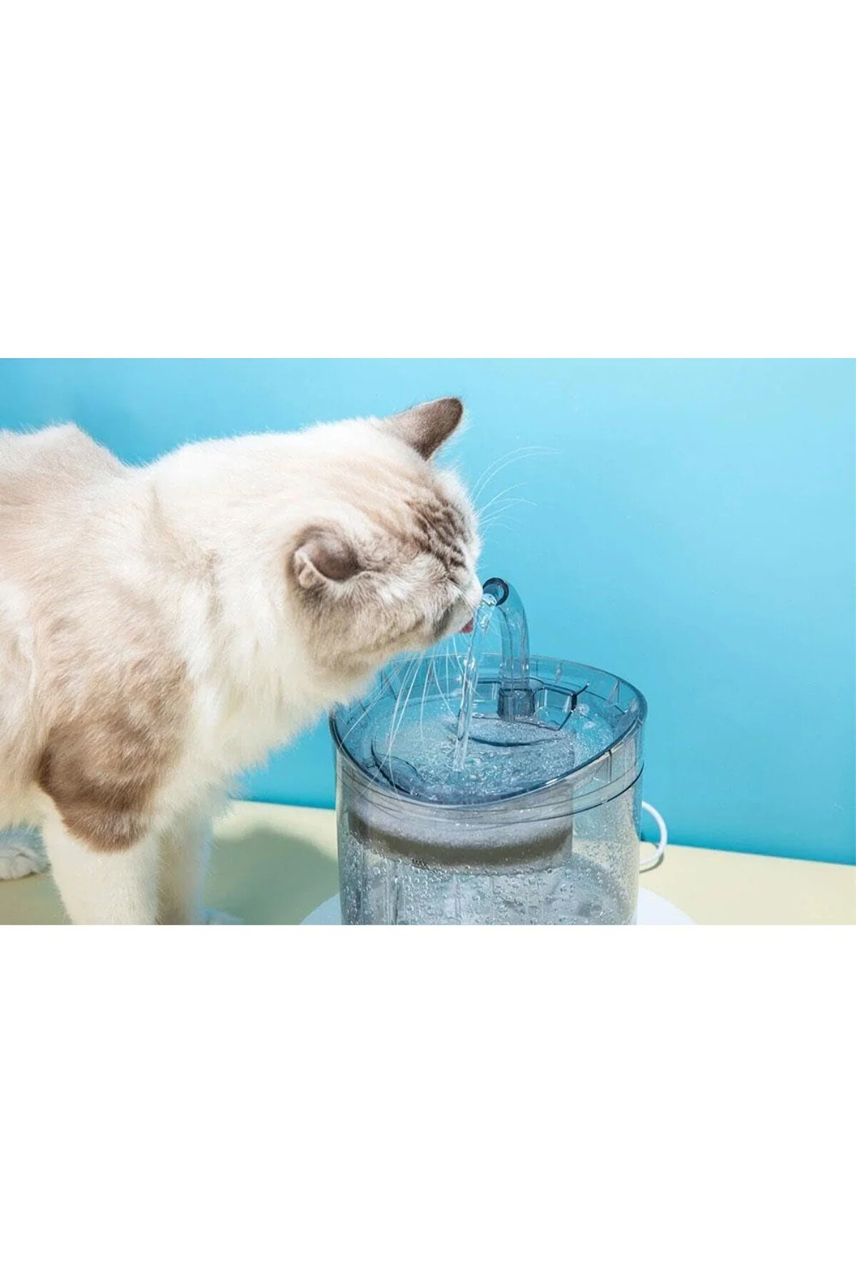 DailyTech Otomatik PET Kedi Köpek Su Çeşmesi Sebil Musluk