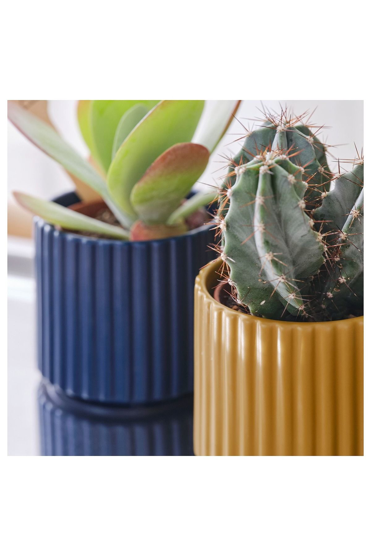 İkea Daksjus Toprak Saksı, Karışık Renkler, 6 Cm, 4 Adet