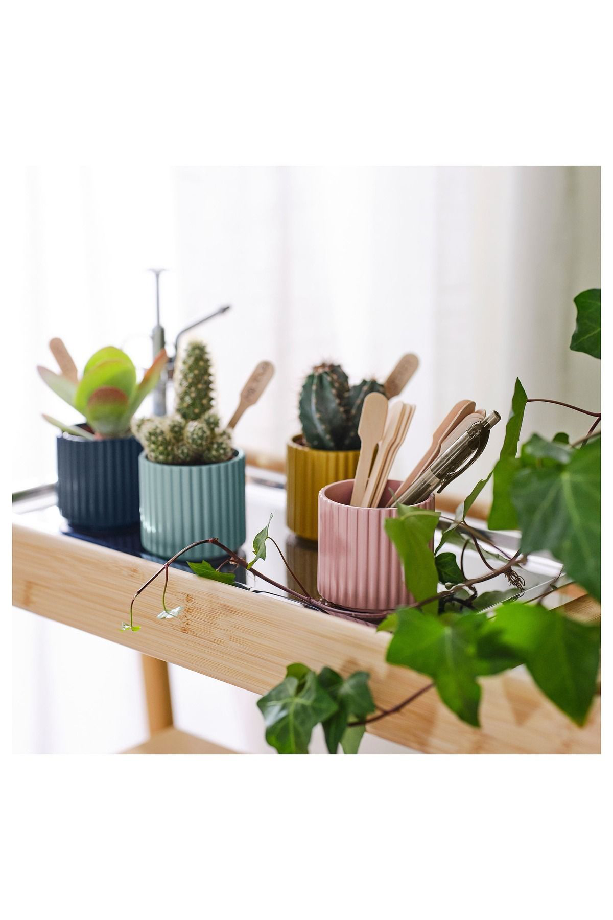 İkea Daksjus Toprak Saksı, Karışık Renkler, 6 Cm, 4 Adet