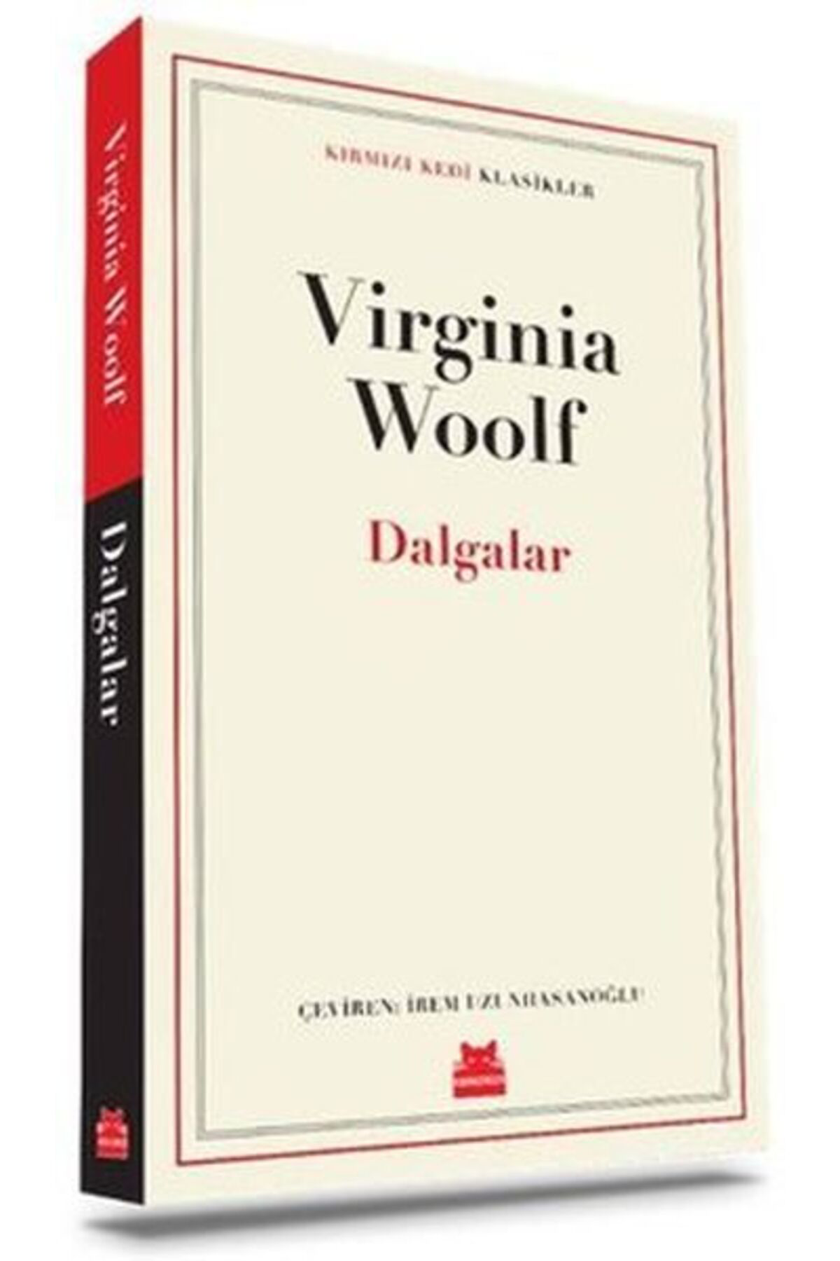 Kırmızı Kedi Çocuk Dalgalar