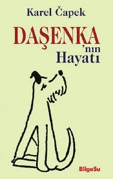 Daşenkanın Hayatı Fiyatı, Yorumları ve Özellikleri