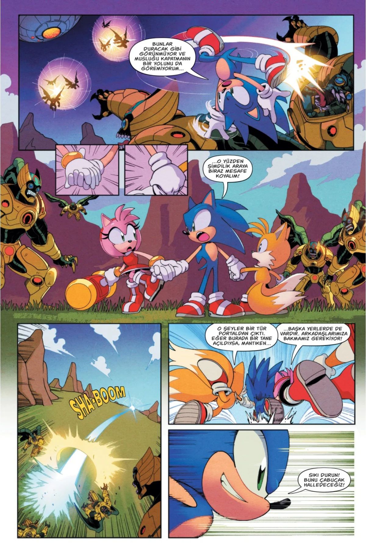 DC X Sonic The Hedgehog / Ian Flynn / / 9786255638151 DC X Sonic The Hedgehog / Ian Flynn / / 9786255638151
