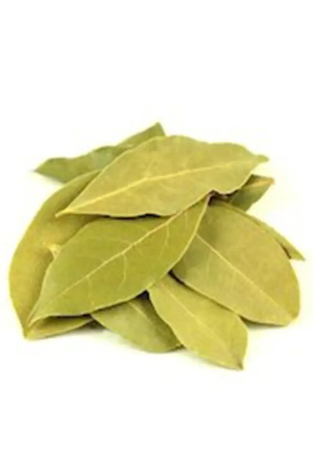 Defne Yaprağı - 100 Gr