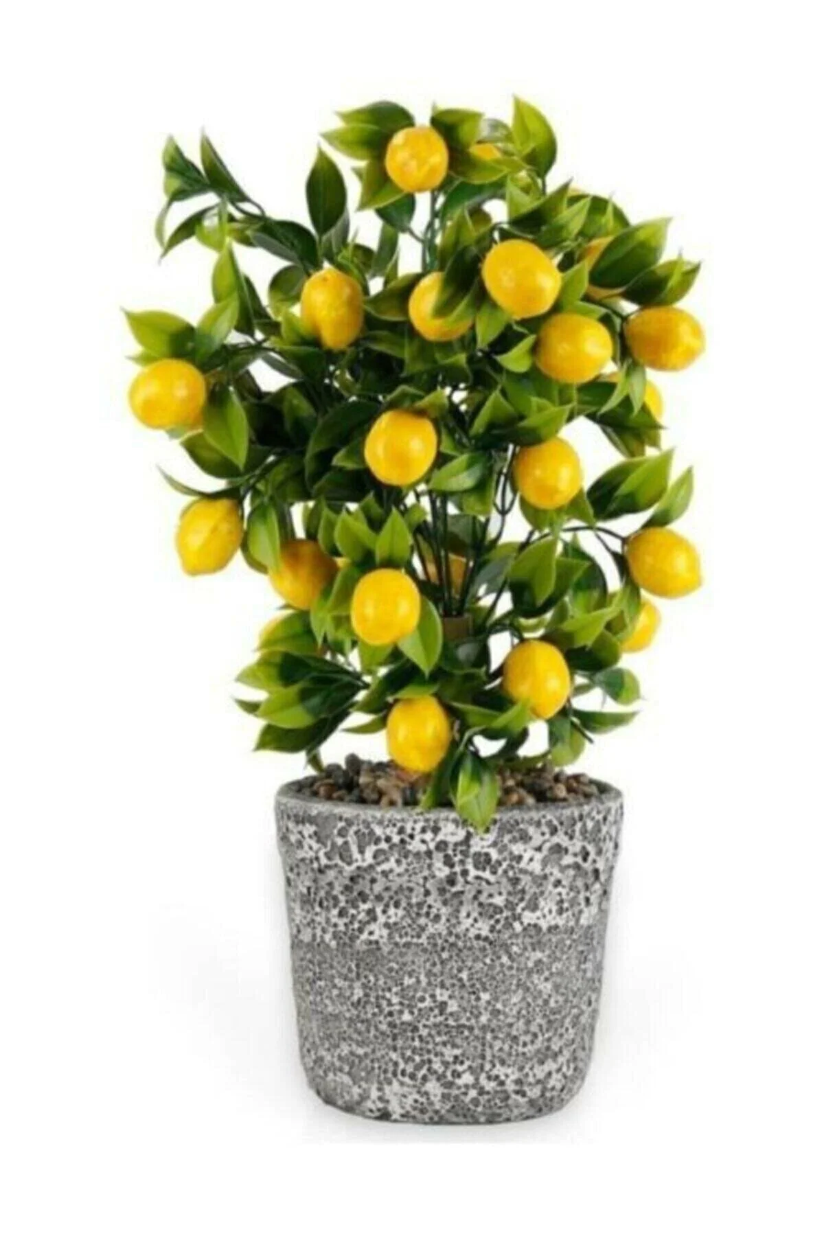 Dekoratif Beton Saksıda Büyük Boy Yapay Limon Ağacı