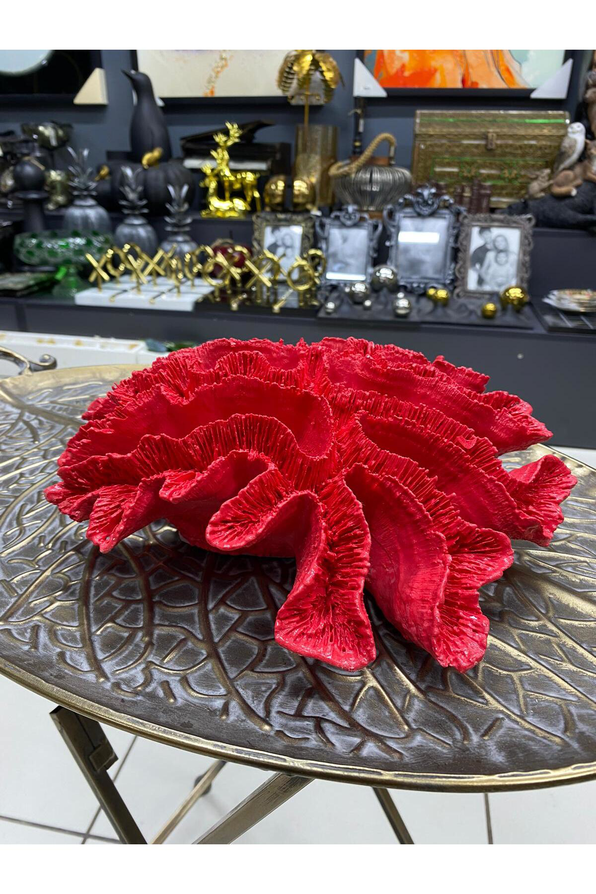 Dekoratif Kırmızı Mercan