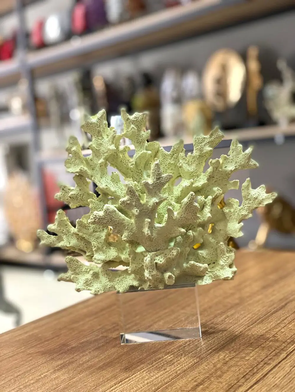 Dekoratif Kristal Kaideli Mercan Biblo
