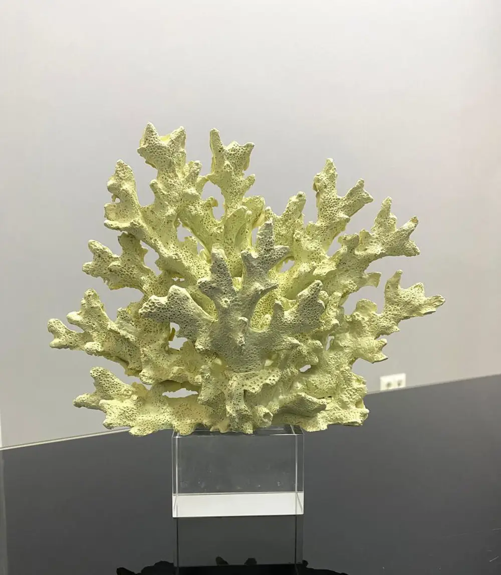 Dekoratif Kristal Kaideli Mercan Biblo