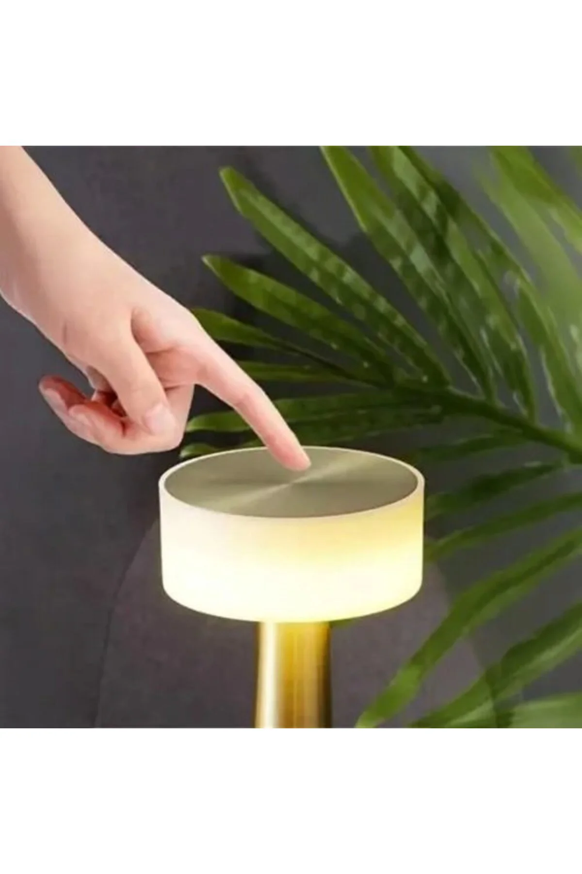 Dekoratif Led Masa Lambası