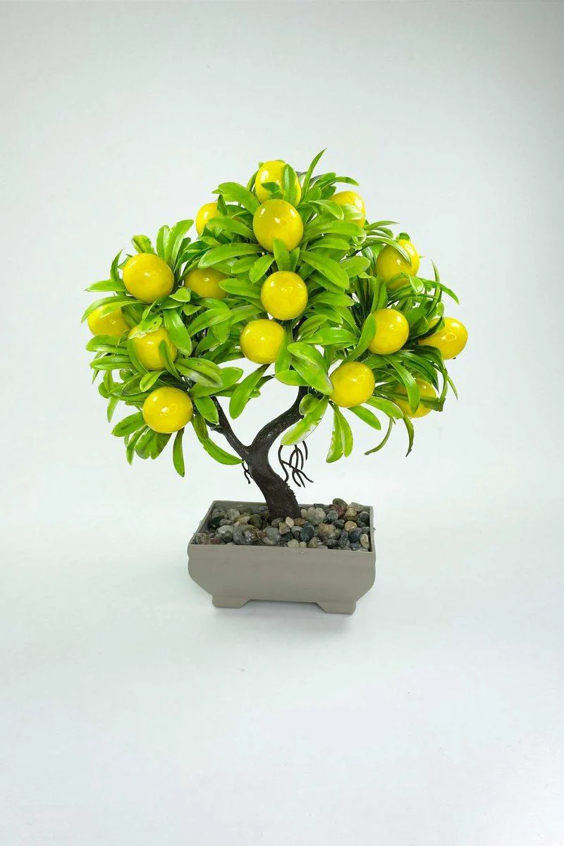 Dekoratif Limon Ağacı Biblo – Saksılı Mini Ev Bitkisi 24x13 cm Fiyatı, Yorumları ve Özellikleri