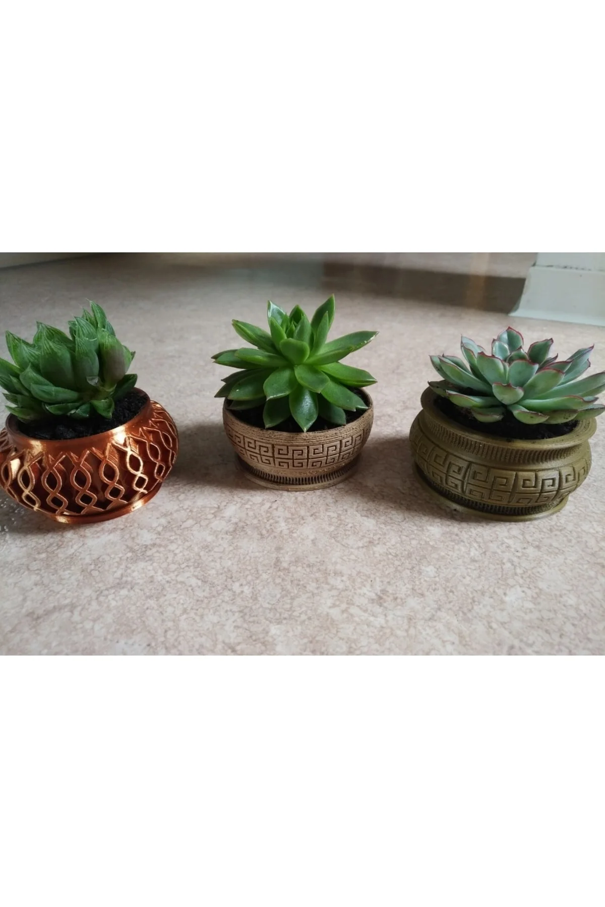 Dekoratif Model Sukulent Saksı (10 Cm Çap)