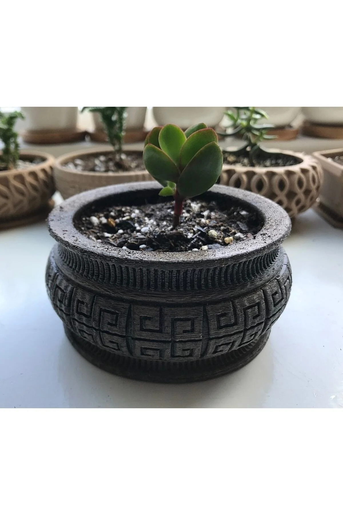 Dekoratif Model Sukulent Saksı (10 Cm Çap)