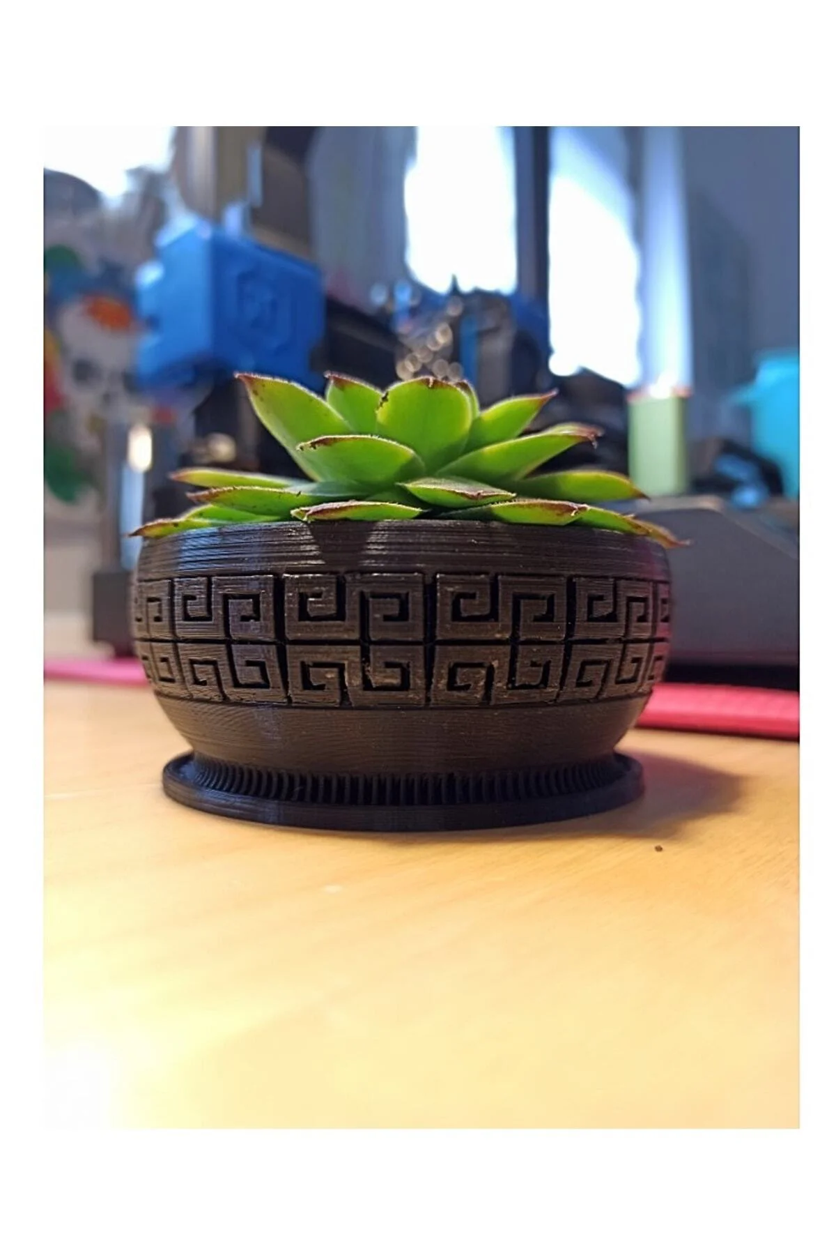 Dekoratif Model Sukulent Saksı (10 Cm Çap)