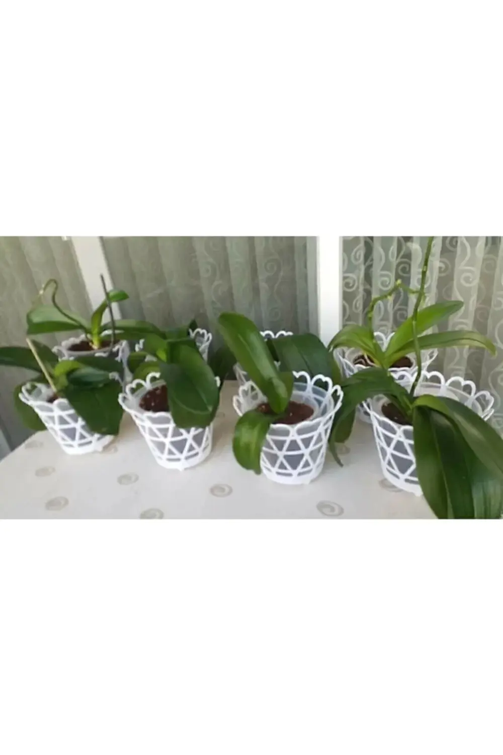 Dekoratif Orkide Saksı 6 Adet