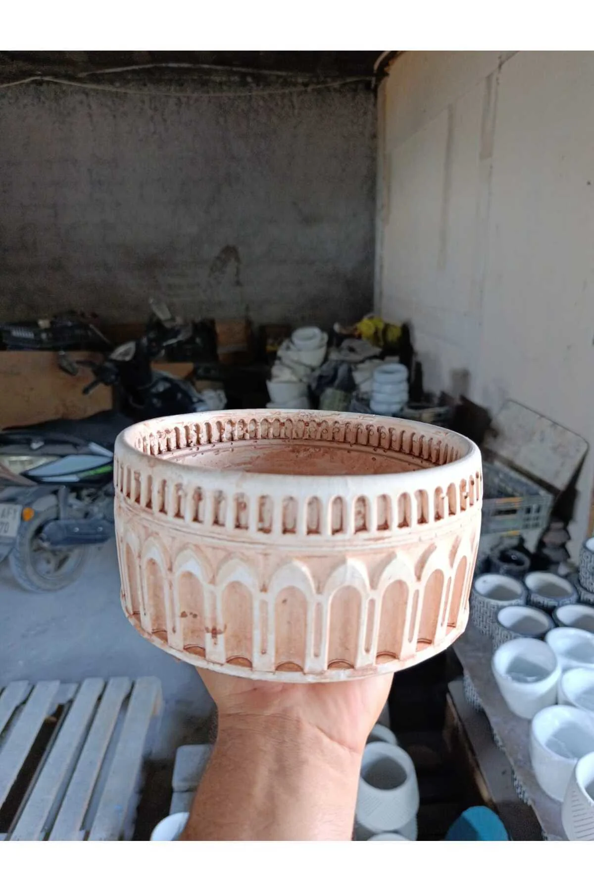 Dekoratif Rose Collesium Saksı Dekoratif Rose Collesium Saksı