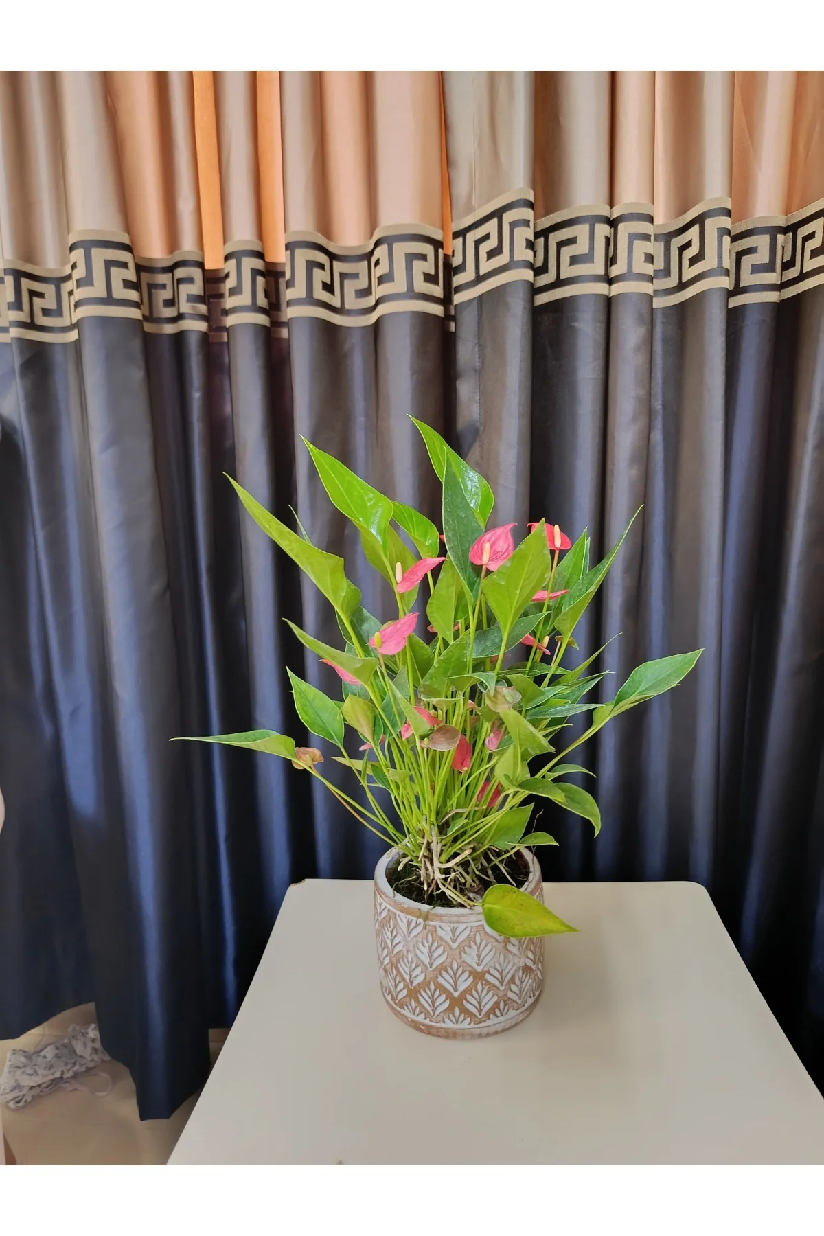 Dekoratif Taş Saksıda Antoryum (Flamingo) Çiçeği
