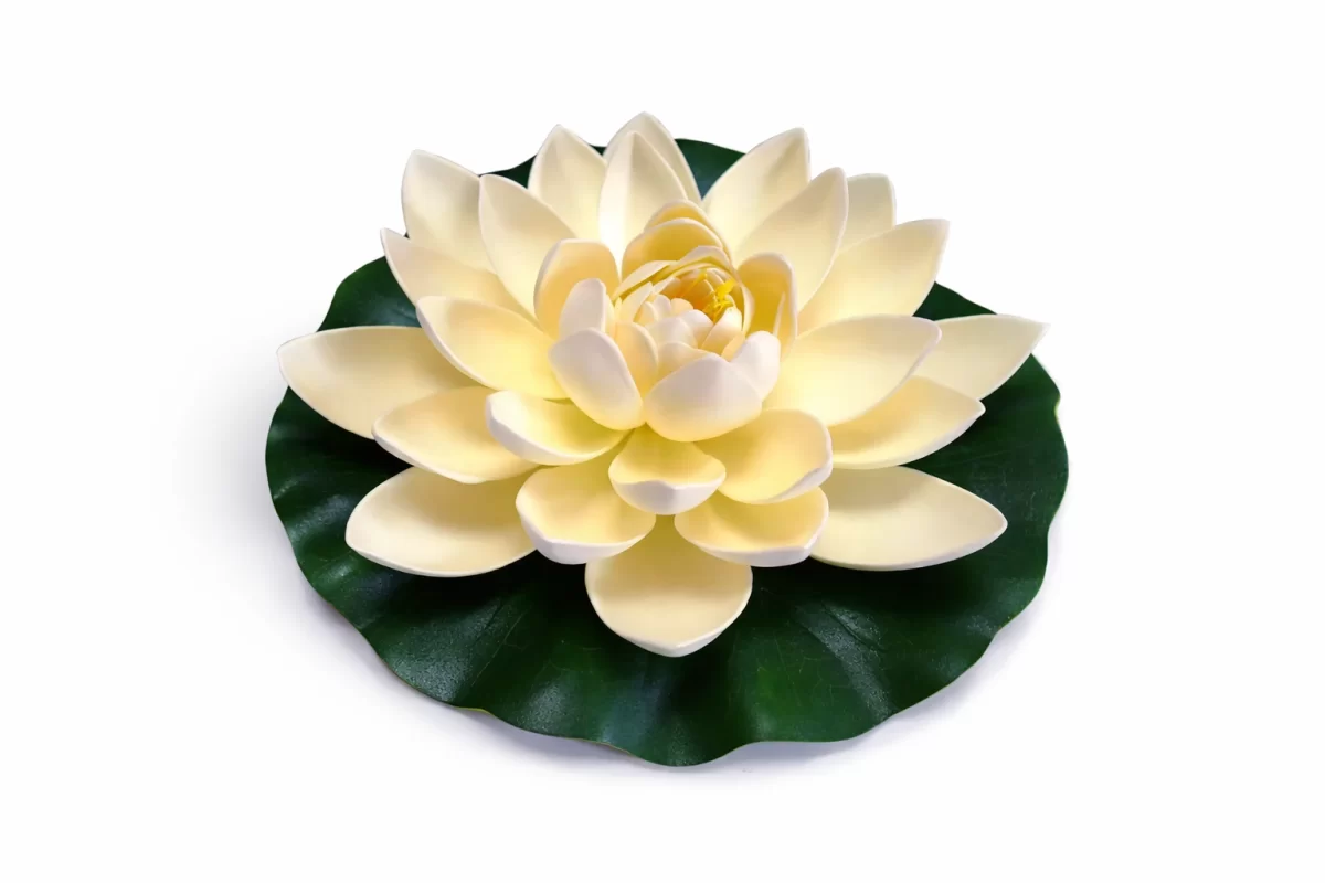 Dekoratif Yapay Lotus Çiçeği Suya Dayanıklı, Gerçekçi Tasarım, Ha Dekoratif Yapay Lotus Çiçeği Suya Dayanıklı, Gerçekçi Tasarım, Ha