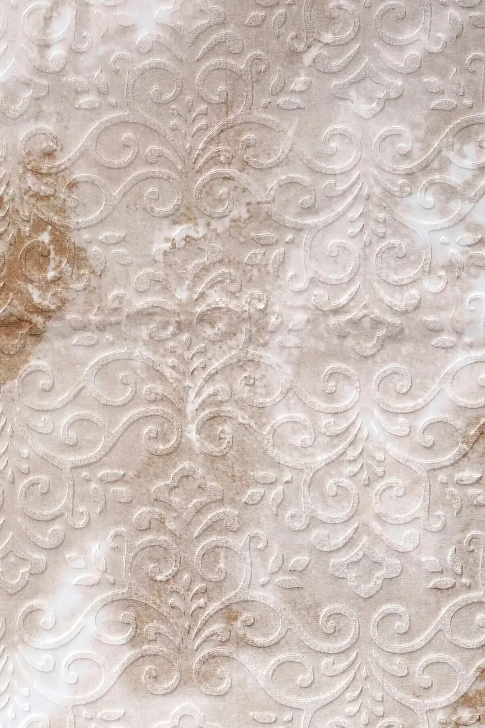 Delüxe Devetüyü Saçaksız Siyah Taban Yeni Kabartmalı Model Halısı