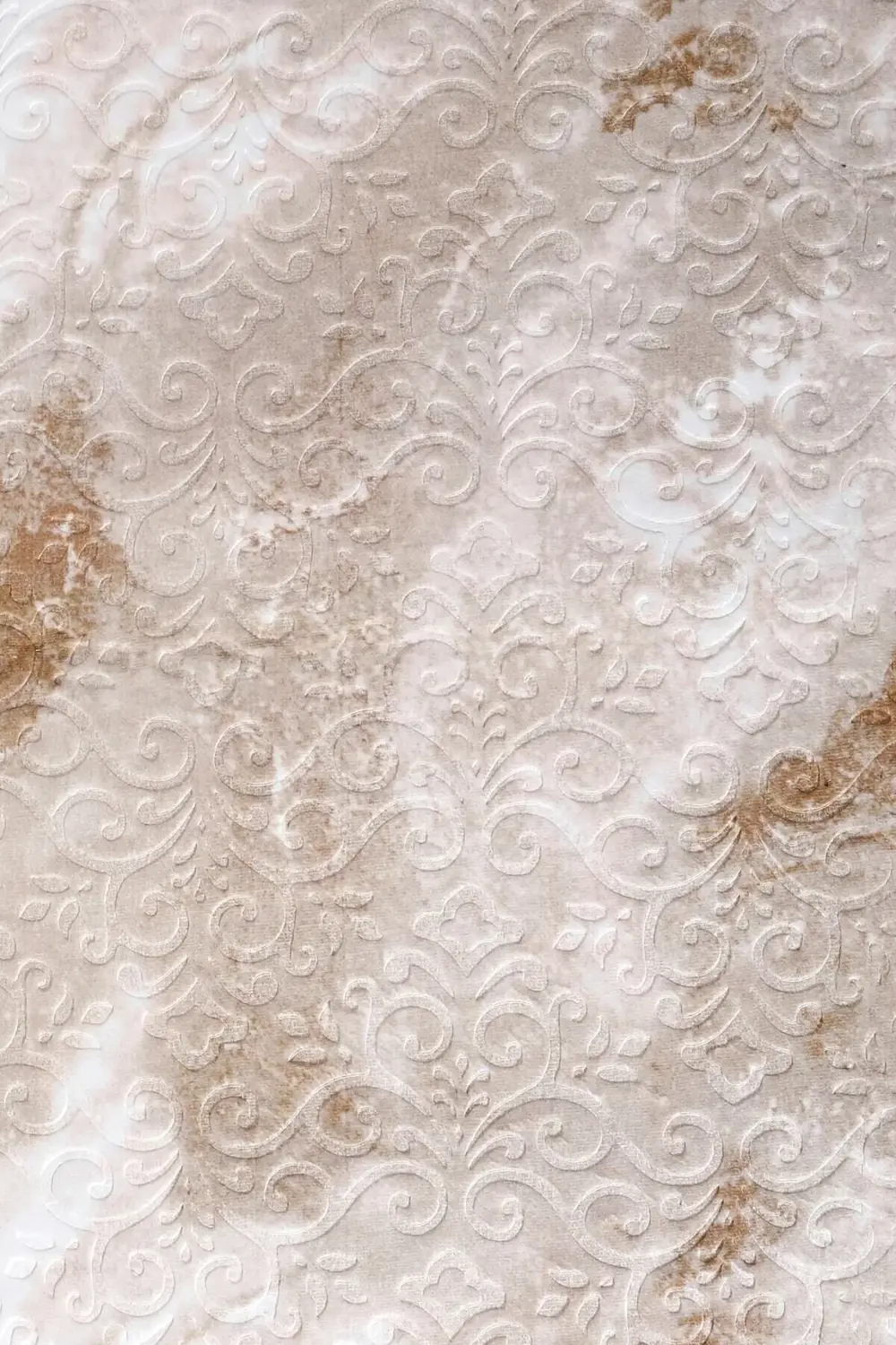 Delüxe Halı Devetüyü Saçaksız Siyah Taban Oval Halı Yeni Kabartma